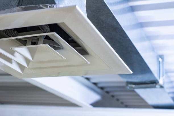 Best Professional Duct Cleaning Services  in Pelahatchie, MS